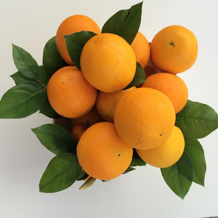 Tuesday Trends Citrus Centerpieces Emily Burton Designs Blog