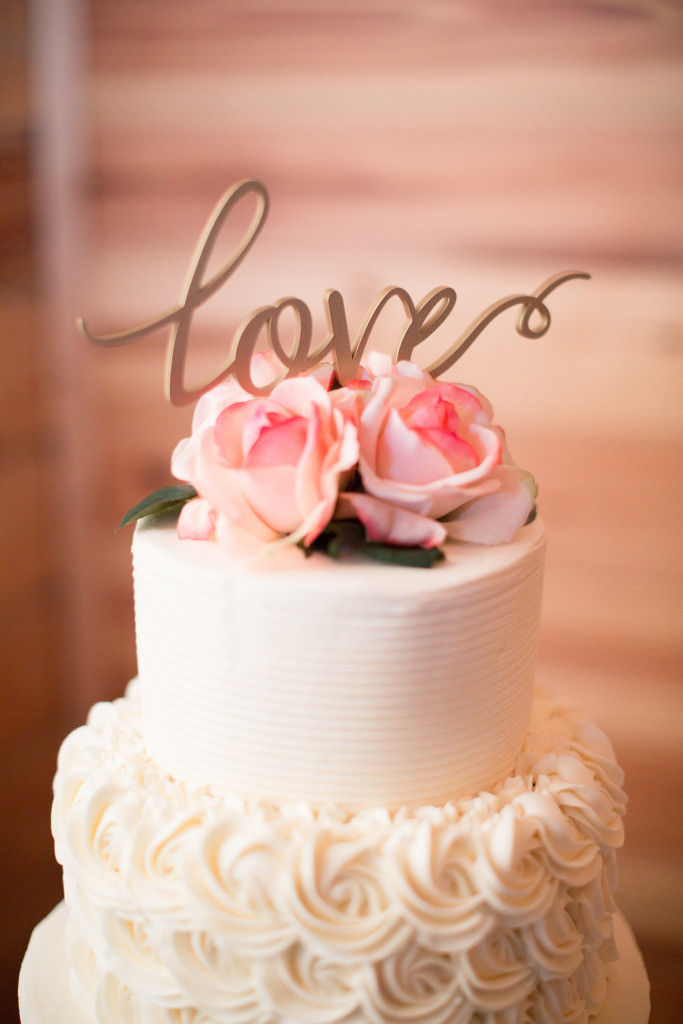 View More: http://lyndijphotography.pass.us/monica-winton-wedding