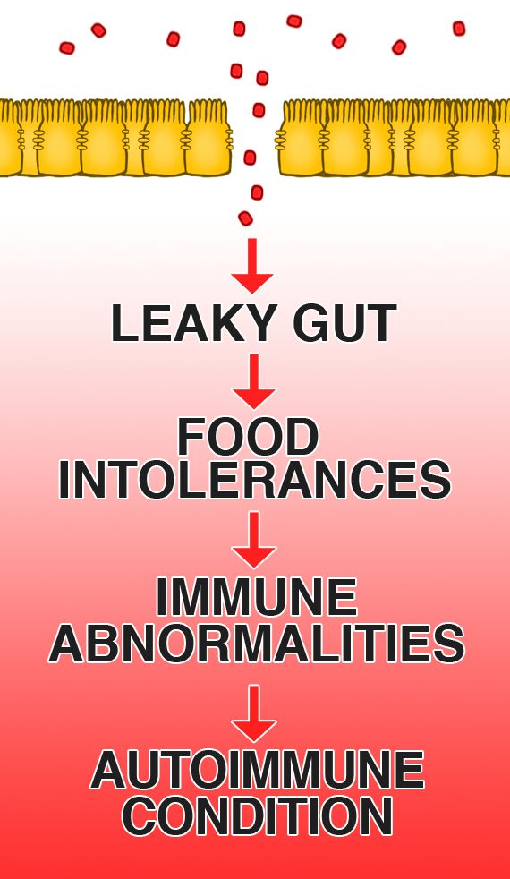 Leaky gut and probiotics